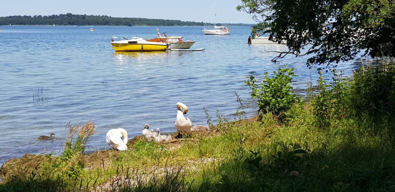 Ferienwohnung Am Schweriner See Raben Steinfeld Eksteriør billede